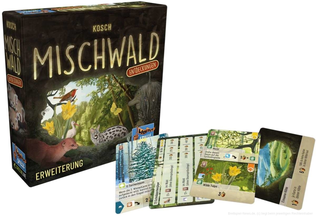 MischwaldEntdeckungen