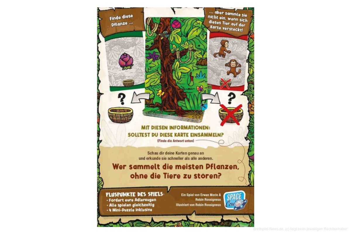 Gewimmel im Dschungel