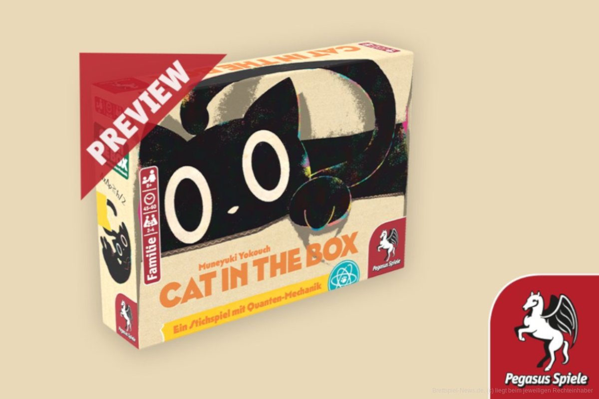 „Cat in the Box“