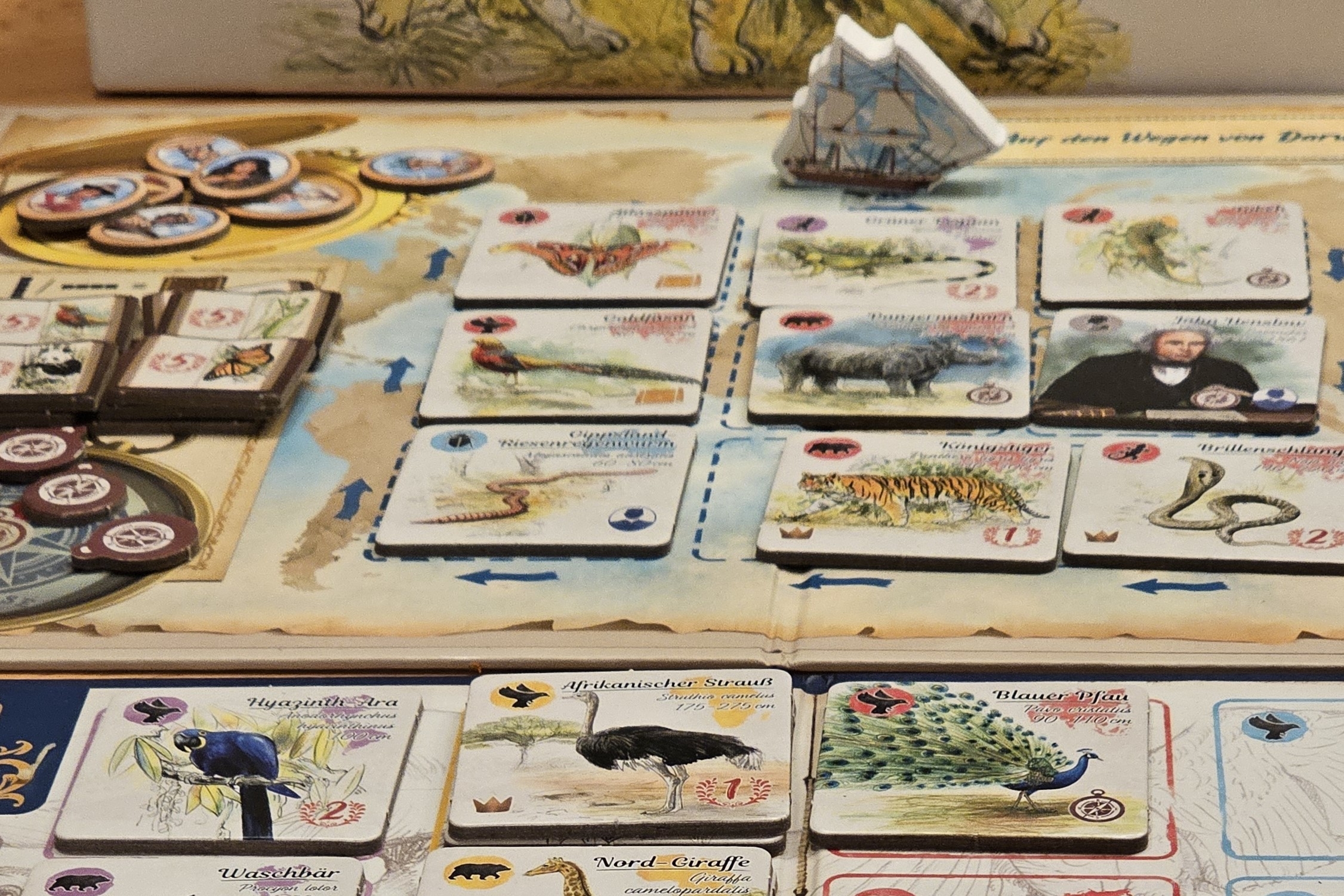 "Auf den Wegen von Darwin" ist ein außergewöhnlich hübsches Set-Collection-, Open-Drafting- und Pattern-Building-Spiel für 2-5 Personen ab 8 Jahren mit einer Spielzeit von 30-60 Minuten, in dem wir als Junior-Biologen und Biologinnen Charles Darwin auf der Beagle begleiten und ihm helfen, sein Werk fertigzustellen, indem wir Tiere katalogisieren.