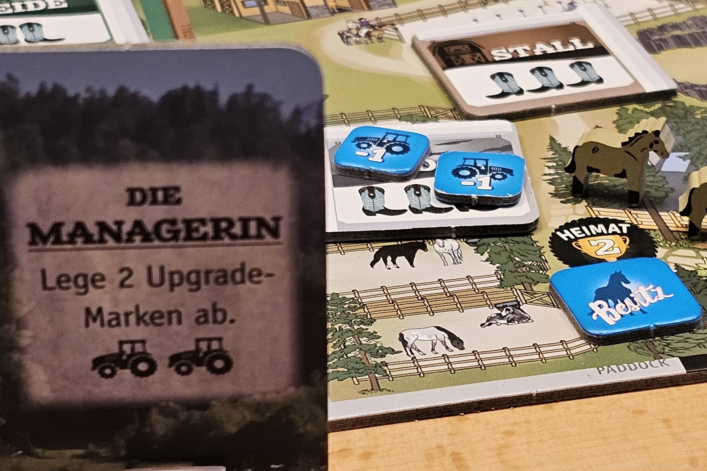 "Fantasy Ranch" ist im dritten Level ein Area-Control-, Set-Collection- und Ressourcen-Management-Spiel mit unverbrauchtem Thema für 2-4 Personen ab 12 Jahren, in dem wir in 60-90 Minuten versuchen, mit nur wenigen Aktionen unsere Ranch zu erweitern, Bonuskarten zu triggern, Sets aus passenden Pferden zu erhalten und unsere Helfer gewinnbringend einzusetzen.