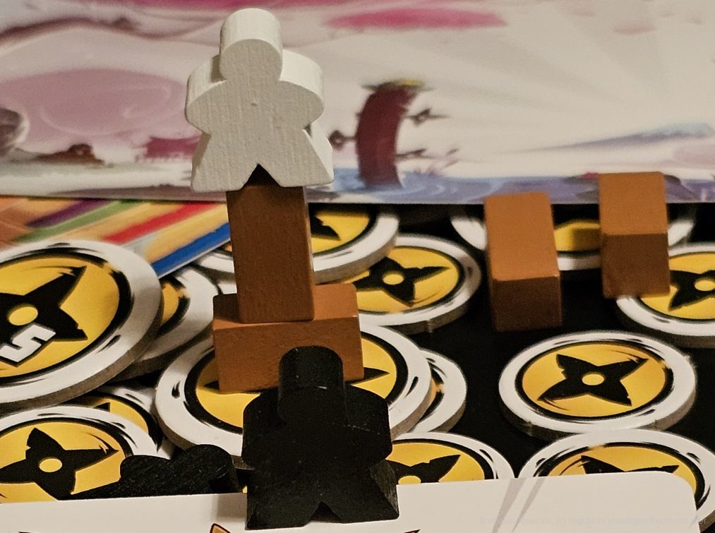 Ninja Academy - Hauptfach: Geschick