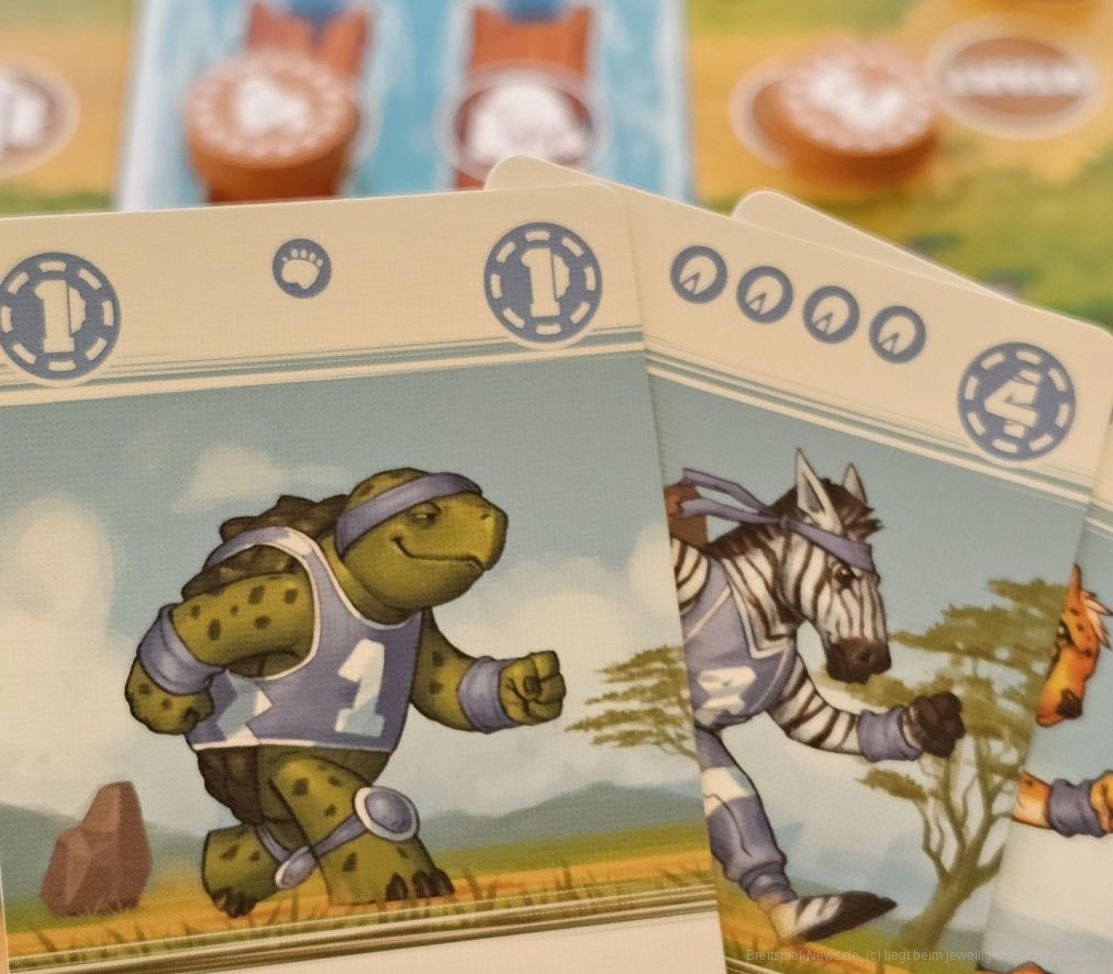 "Wildwasser: Der große Flusslauf" ist ein Hand-Management- und Push Your Luck-Programmierspiel für 2-6 Personen ab 6 Jahren mit einer Spielzeit von ungefähr 30 Minuten, in dem wir unsere Tiere im Wettstreit gegeneinander einen Fluss herunter laufen lassen. Dabei sollten wir klug den Fluss und seine Baumstämme nutzen, um am schnellsten ins Ziel zu kommen.