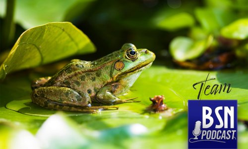 #547 BSN Team (103) | Froschmageddon - Gefühlschaos im feudalen Japan!