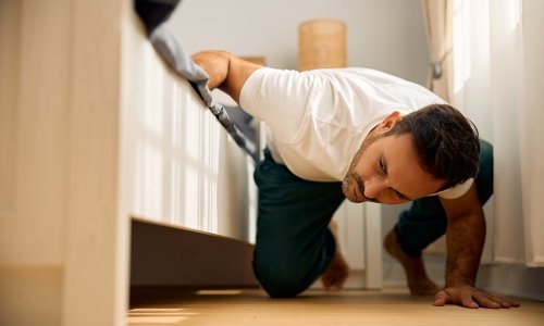 #512 BSN Team (96) | Wo ist Johannes? Johannes berichtet über seinen Weg vom Podcaster zum Berufstätigen im Brettspielverlag Board Game Circus